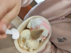 -极拉图·现制冰淇淋(大卫城店)