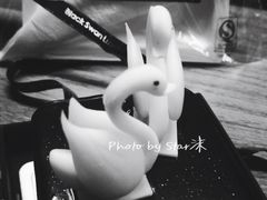 -BLACKSWAN黑天鹅(环球店)