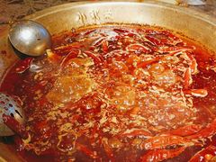 -小龙坎火锅(春熙太古里店)