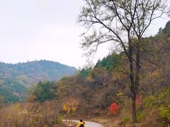 -香山公园