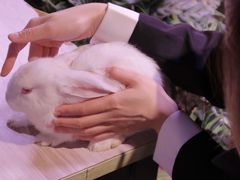-正佳雨林生态植物园