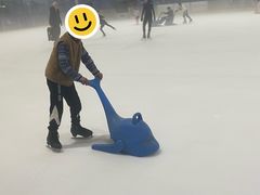 -世界之窗阿尔卑斯冰雪世界