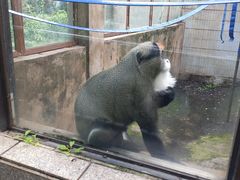 -昆明动物园