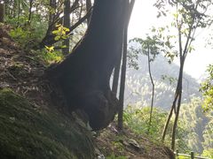 -周洛大峡谷