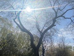 -大望京公园