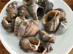 清蒸海螺-张会海鲜饭店(东戴河店)