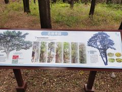 -香山公园