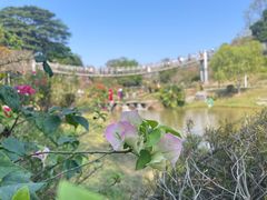 -东莞植物园