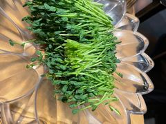 -煲宫猪肚鸡(晶品店)