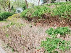 -北京鹫峰国家森林公园