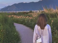 -羚羊峡古栈道森林公园