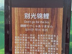 -宁波杭州湾国家湿地公园