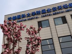 -首都医科大学附属北京天坛医院
