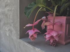 -十一咖啡(青年大街工厂店)