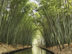 -同里国家湿地公园