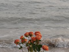 -白城沙滩