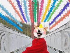 -山沟沟景区