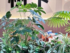 -树下时尚餐厅(翠园街店)