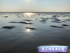 -南汇嘴观海公园