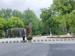 -合肥滨湖国家森林公园
