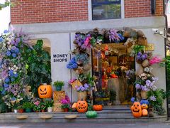 -Money Shops(愚园路店)