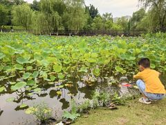-沐仙湖湿地公园