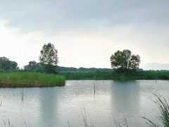 -野鸭湖国家湿地公园