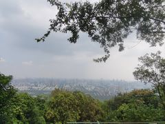 -大蜀山国家森林公园
