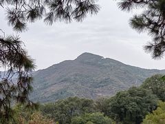 -波尔登森林公园