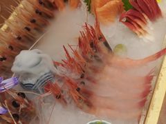 -月龍吟(朝龙汇店)