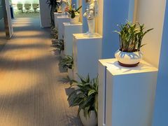 -爱氧森林·日本兴百世SHENPIX微高压氧舱