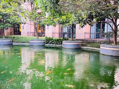 -上海浦东星河湾酒店