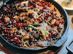 -老板恋上鱼(恒隆广场店)