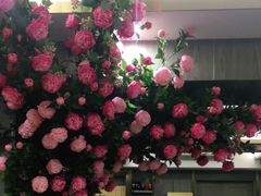 -陶然居·重庆菜(两江会馆店)