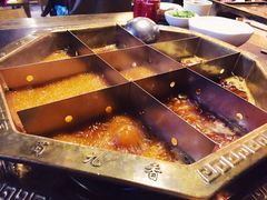蜀九香火锅酒楼(彩虹店)-蜀九香火锅(彩虹店)