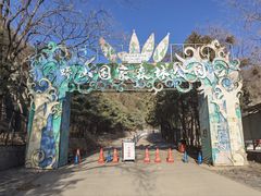 -北京十三陵国家森林公园蟒山景区