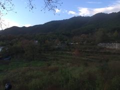 -塔川景区