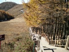 -驼梁风景区