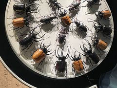 -浙江自然博物院(杭州馆)