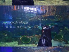 -沙沙哗啦海洋馆(华宇百花谷店)
