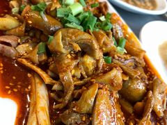 -老号尤兔头(幸福店)