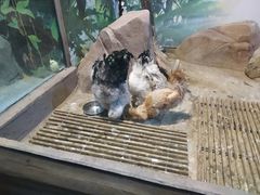 -苏州海洋馆