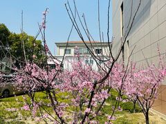 -国家电网(金山供电营业厅)