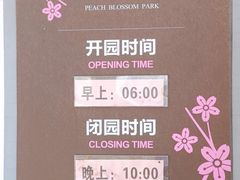 -桃花堤公园