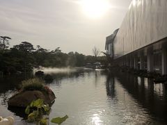 景点-罗红摄影艺术馆