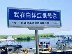 -白洋淀风景区