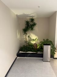 -四川娇点医学美容医院