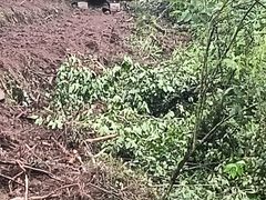 -小八仙·宴(三峡茶庄店)