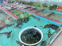 -景好海鲜餐厅(大鹏必选旅游店)