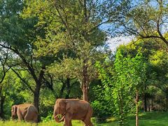 -北京野生动物园
